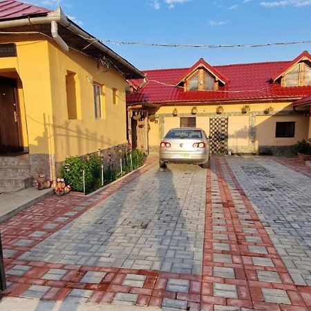 Pensiunea Casa Andreea Novaci-Străini Esterno foto