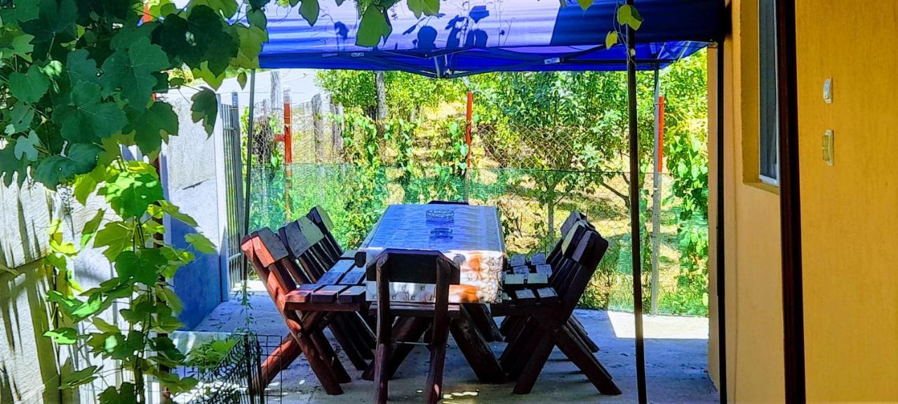 Pensiunea Casa Andreea Novaci-Străini Esterno foto