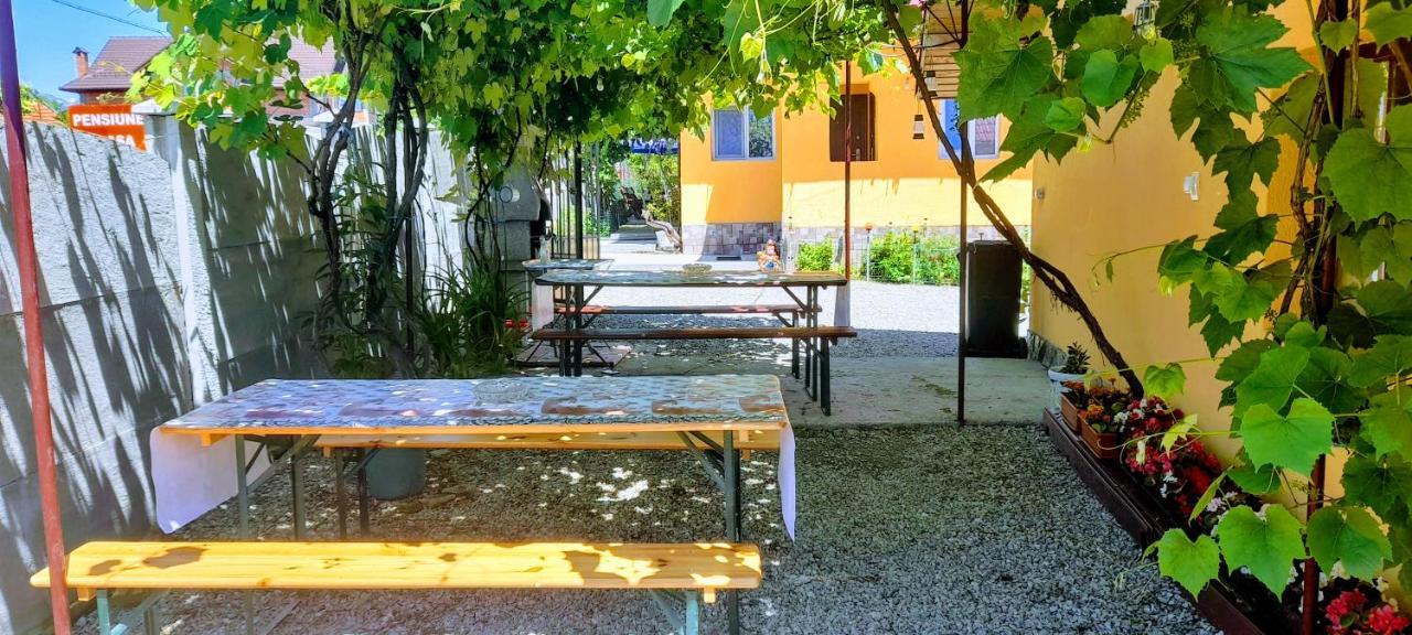 Pensiunea Casa Andreea Novaci-Străini Esterno foto