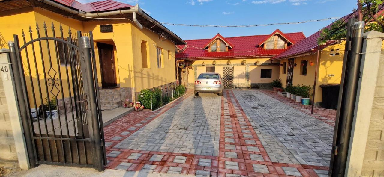 Pensiunea Casa Andreea Novaci-Străini Esterno foto