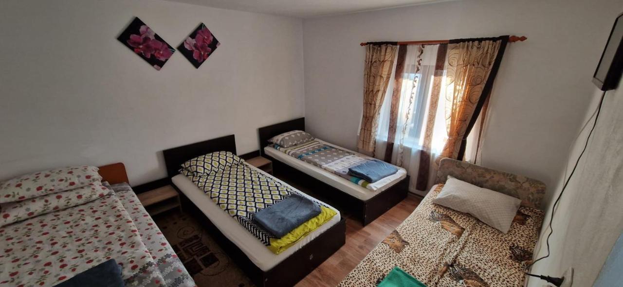 Pensiunea Casa Andreea Novaci-Străini Esterno foto