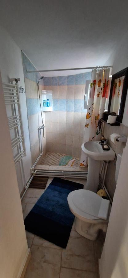 Pensiunea Casa Andreea Novaci-Străini Esterno foto