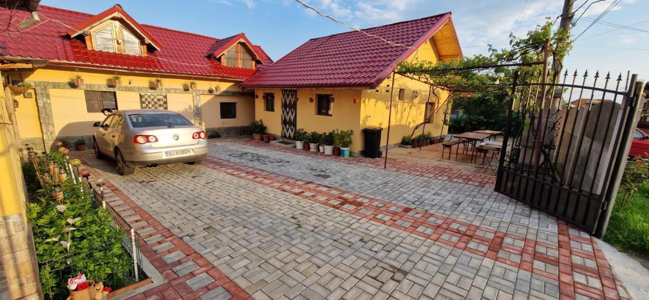 Pensiunea Casa Andreea Novaci-Străini Esterno foto