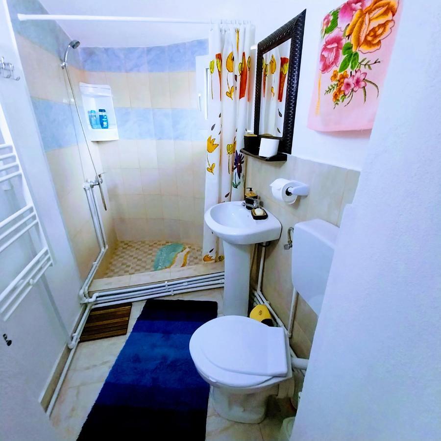 Pensiunea Casa Andreea Novaci-Străini Esterno foto